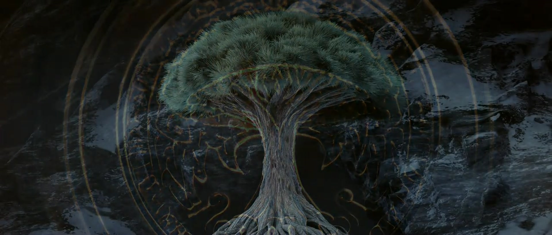 This is a test video 123